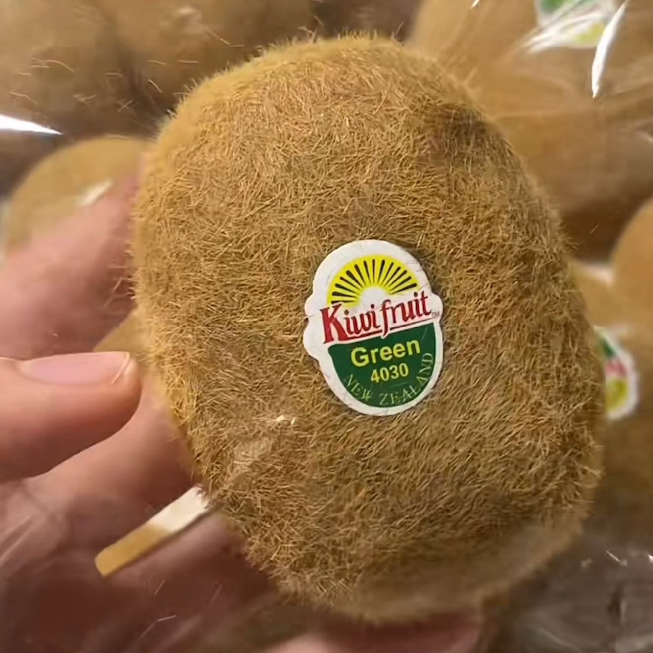 Kiwi